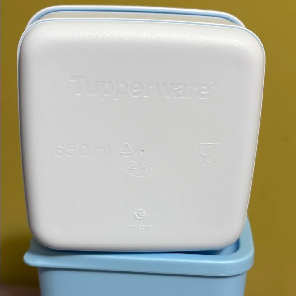 Tupperware Blue and White Makeup Organizers